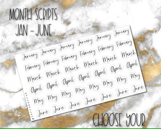 Months January-June | Foiled Script Sticker